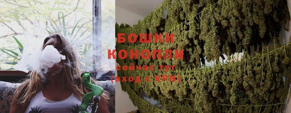 первитин Новозыбков