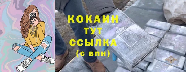 ПСИЛОЦИБИНОВЫЕ ГРИБЫ Новодвинск
