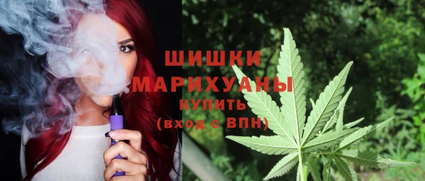 ПСИЛОЦИБИНОВЫЕ ГРИБЫ Новодвинск