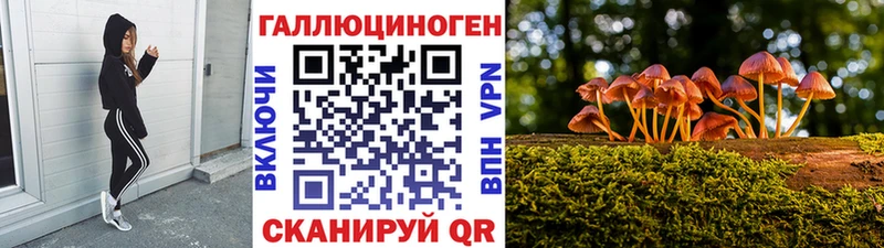 дарнет шоп  Щёкино  Псилоцибиновые грибы Psilocybine cubensis 